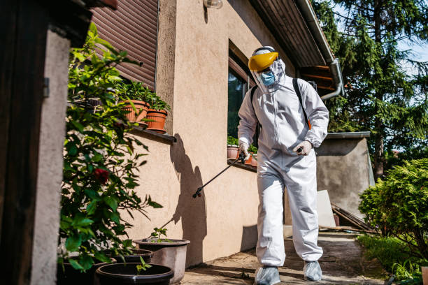 Best Pest Removal Services  in Morgan City, LA