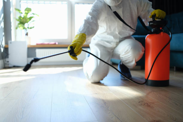 Trusted Morgan City, LA Pest Control Experts