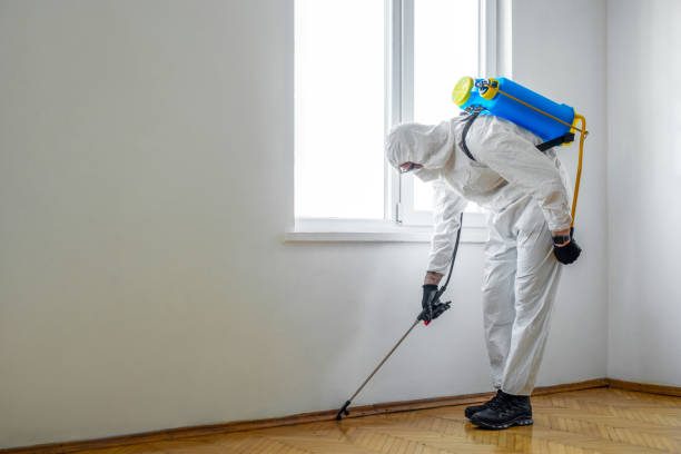 Best Affordable Pest Control Services  in Morgan City, LA
