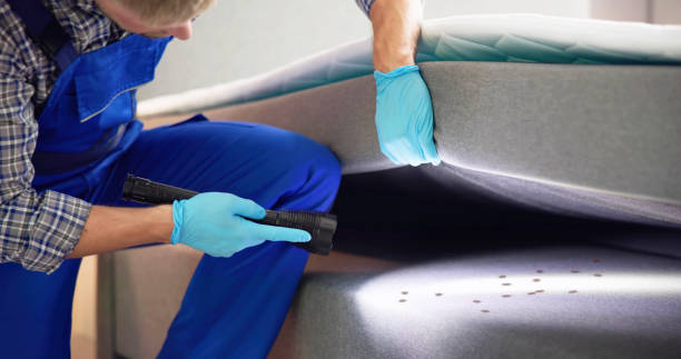 Best Best Pest Control Companies  in Morgan City, LA