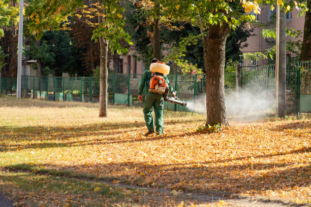 Best Emergency Pest Control  in Morgan City, LA