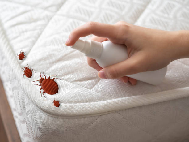Best Best Pest Control Companies  in Morgan City, LA