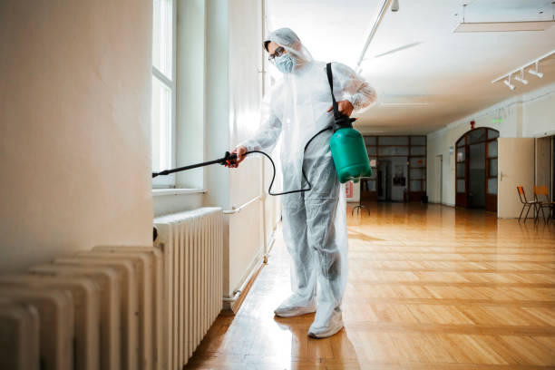 Best Pest Prevention Services  in Morgan City, LA