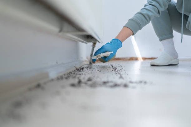 Best Bed Bug Extermination  in Morgan City, LA
